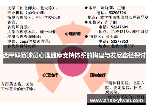 西甲联赛球员心理健康支持体系的构建与发展路径探讨