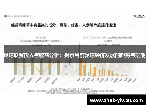 足球联赛投入与收益分析：揭示当前足球经济发展的趋势与挑战