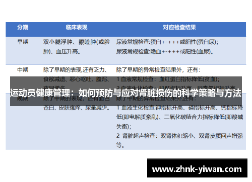 运动员健康管理：如何预防与应对肾脏损伤的科学策略与方法