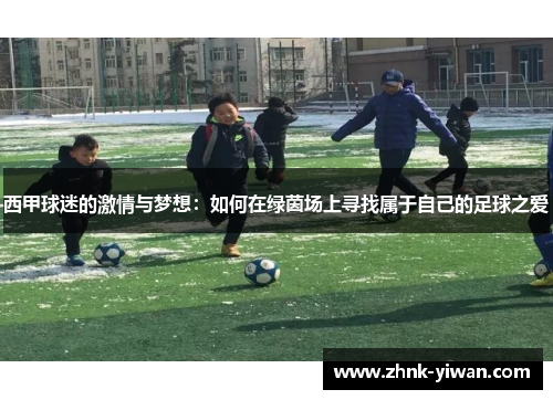 西甲球迷的激情与梦想：如何在绿茵场上寻找属于自己的足球之爱