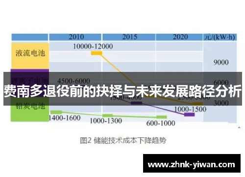费南多退役前的抉择与未来发展路径分析