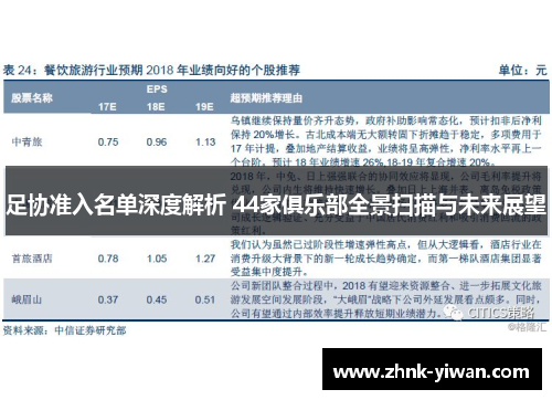 足协准入名单深度解析 44家俱乐部全景扫描与未来展望