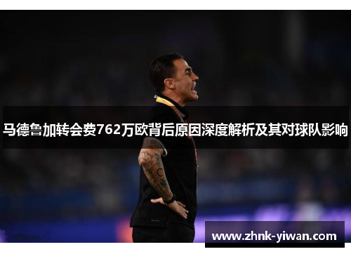 马德鲁加转会费762万欧背后原因深度解析及其对球队影响
